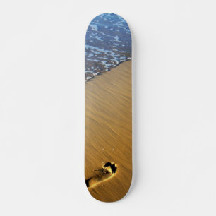 Beach Footsteps Skateboard