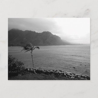 "Beach Front" postcard