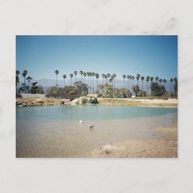 Beach front postcard (Front)