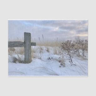 Beach Gift Wrap Tissue Paper