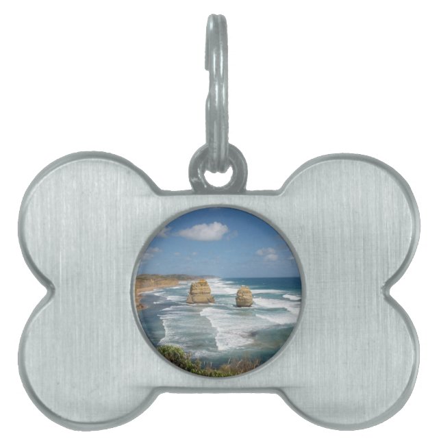 Beach Glow Pet Name Tag (Front)