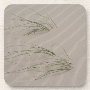 Beach Grass Coaster
