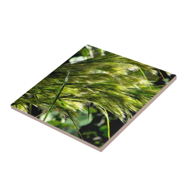 Beach Grass in the Breeze Tile (Side)