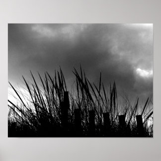 Beach Grass Poster