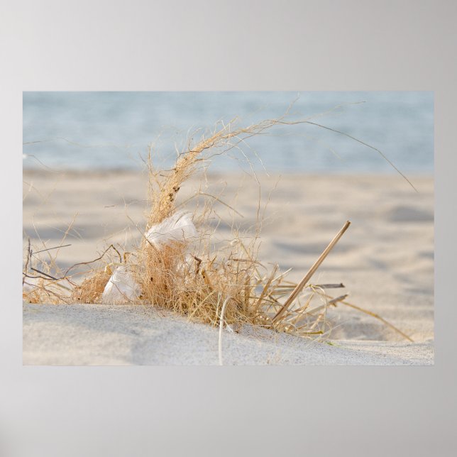 Beach Grass with feather Poster (Front)