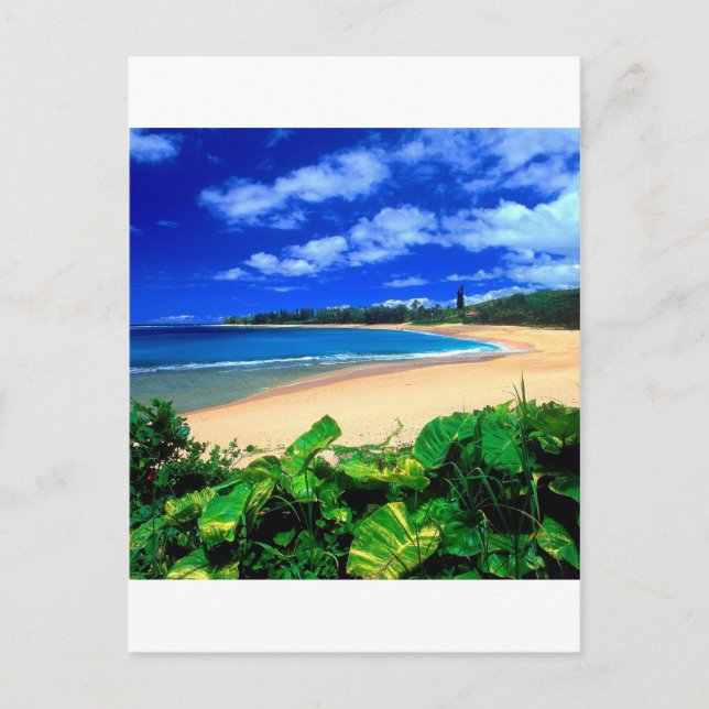 Beach Haena Kauai Hawaii Postcard (Front)
