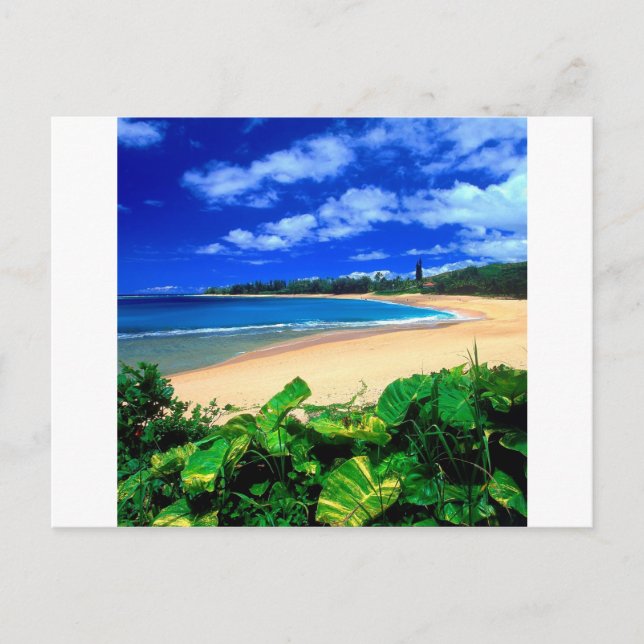 Beach Haena Kauai Hawaii Postcard (Front)