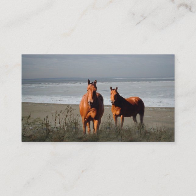 Beach Horses Business Card (Front)