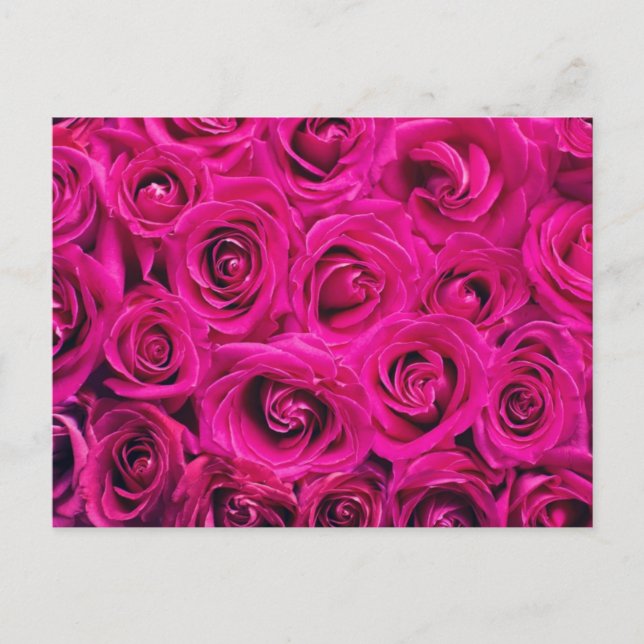 Beach Hot Pink Roses Bridal Shower Invitation Postcard (Front)