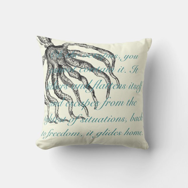 "beach house pillows" cushion (Front)