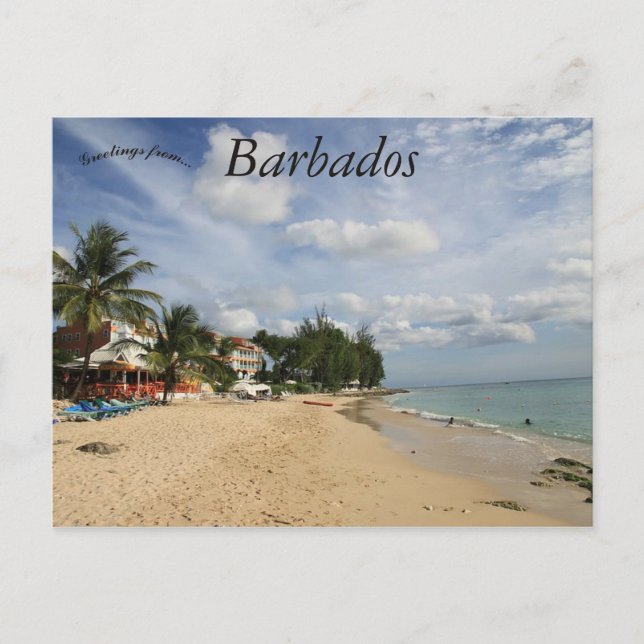 Beach in Barbados Postcard (Front)
