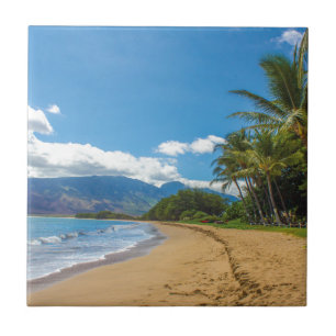Beach in Hawaii Tile