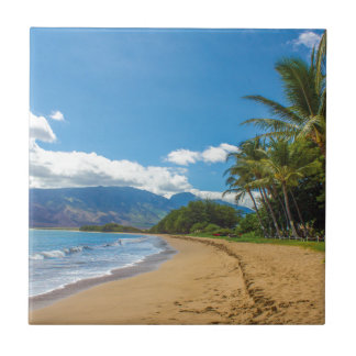 Beach in Hawaii Tile