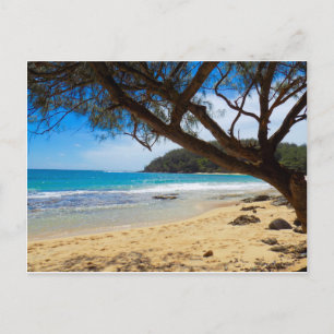Beach in Kauai Postcard
