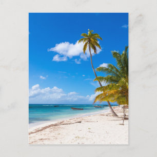 Beach in Saona Dominican Republic Postcard