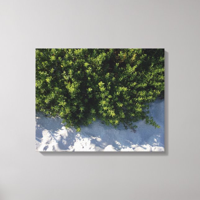 Beach Life Canvas Print (Front)