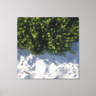 Beach Life Canvas Print