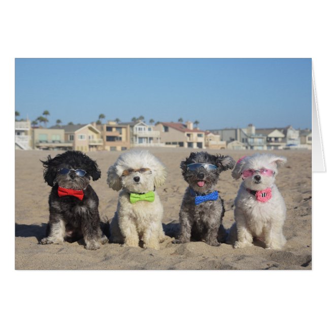 Beach Living (Front Horizontal)