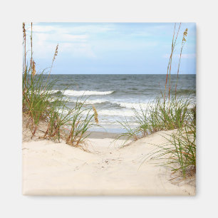 Beach Magnet