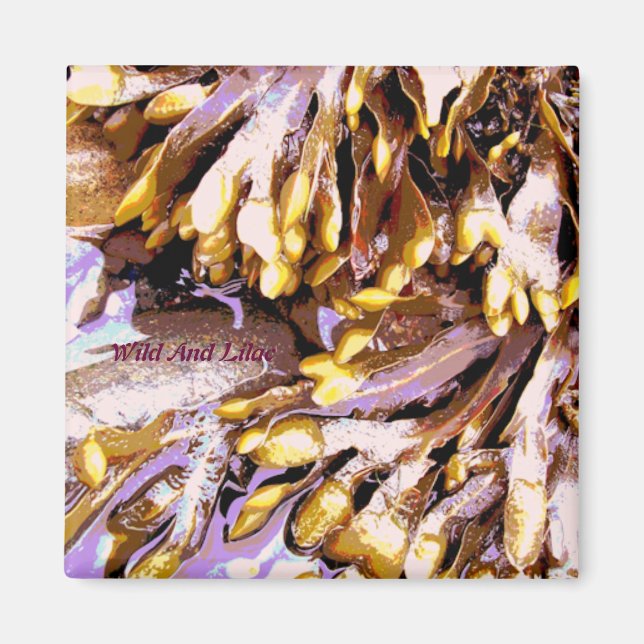 BEACH MAGNET (Front)