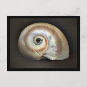 Beach Memory Postcard