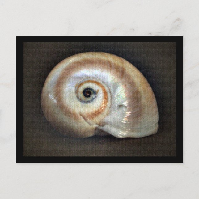 Beach Memory Postcard (Front)