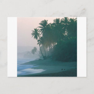 Beach New Light Misty Morn Puerto Rico Postcard