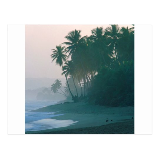 Beach New Light Misty Morn Puerto Rico Postcard