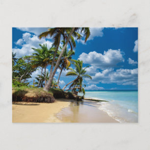 Beach Ocean Photo 168 Postcard