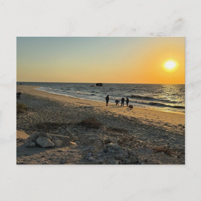 Beach Ocean Sunset Postcard (Front)