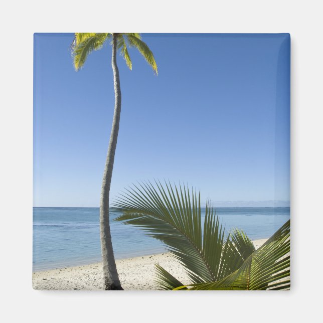 Beach on mainland Aitutaki, Cook Islands Magnet (Front)