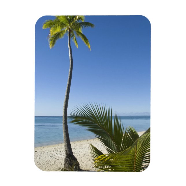 Beach on mainland Aitutaki, Cook Islands Magnet (Vertical)