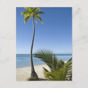 Beach on mainland Aitutaki, Cook Islands Postcard