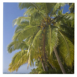 Beach on One Foot island, Aitutaki, Cook Islands Tile