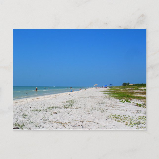 Beach on Sanibel Island Postcard (Front)