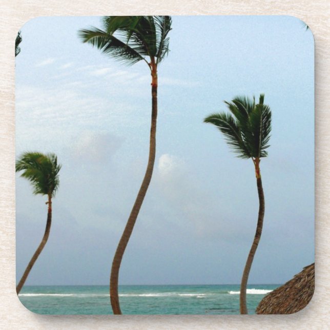 Beach Palm Coaster (Front)