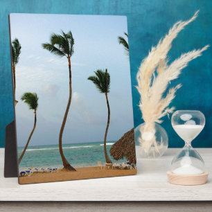 Beach Palm Plaque