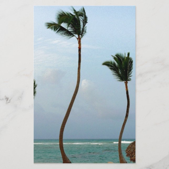 Beach Palm Stationery (Front)