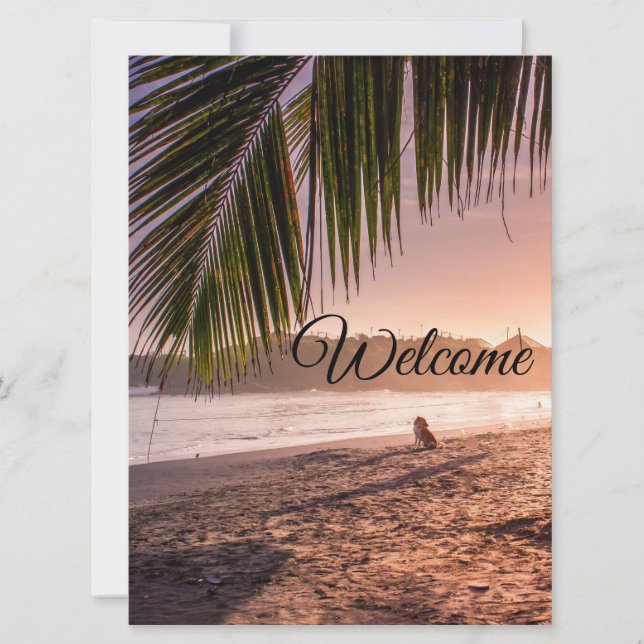 Beach Palm Tree Calm Sunset Card (Front)