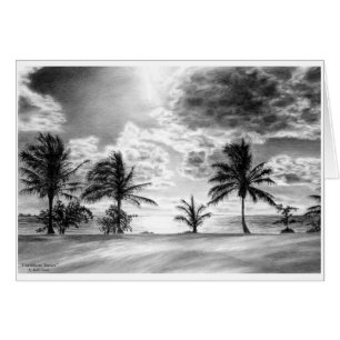 Beach Palm Tree Sunset Drawing by Kelli Swan
