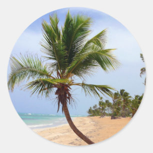 Beach Palm Trees Classic Round Sticker