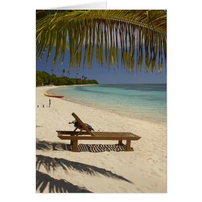 Beach, palm trees & lounger (Front)