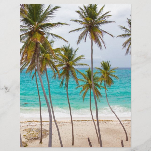 Beach Palms (Front)