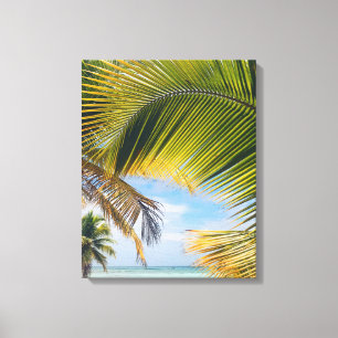 Beach Palms canvas print