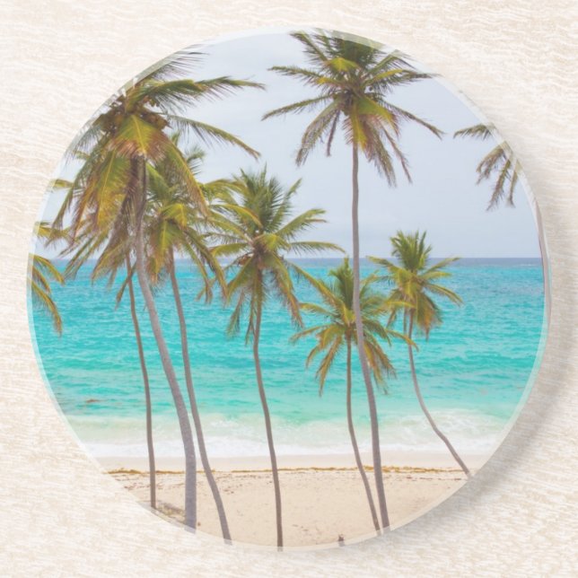 Beach Palms Coaster (Front)