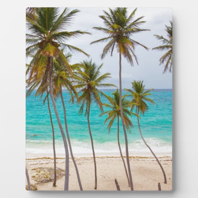 Beach Palms Plaque (Front)