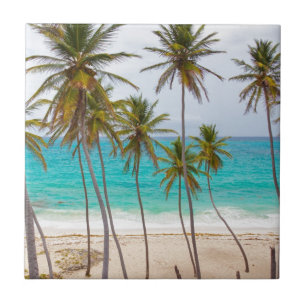 Beach Palms Tile