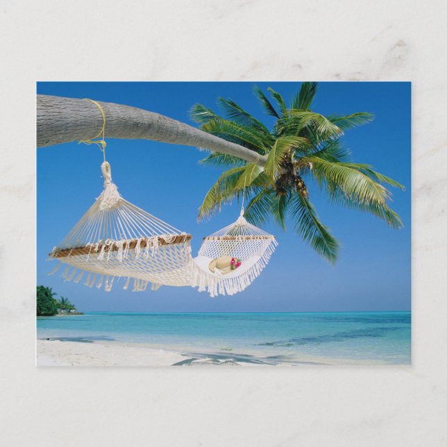 Beach Paradise Vacation Hammock Postcard (Front)