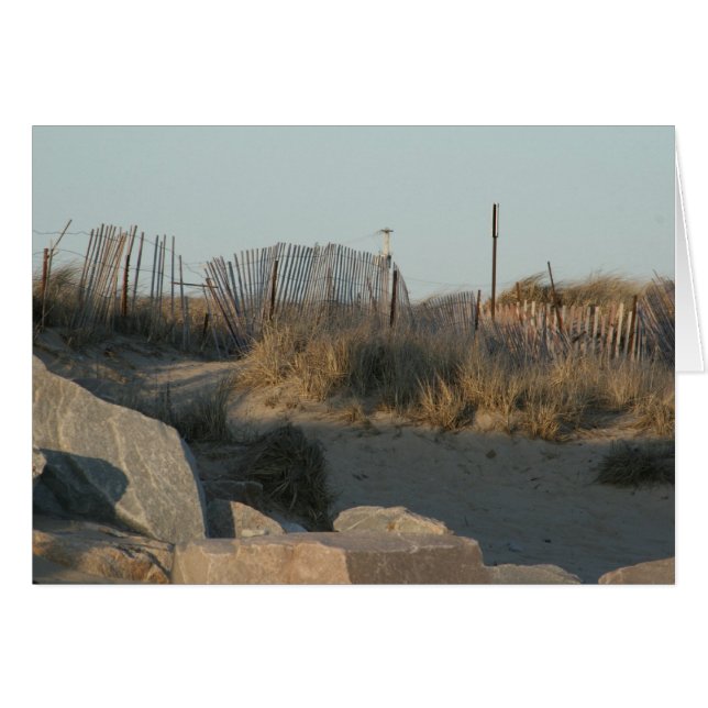 Beach Path (Front Horizontal)