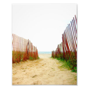 Beach Path Fence Photo Print